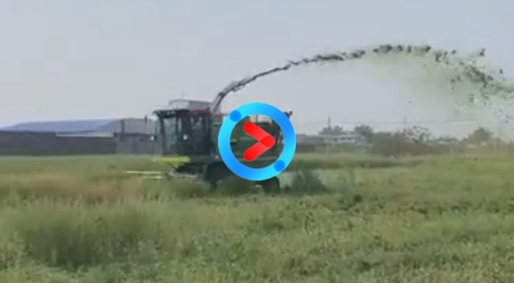 220大马力试车现场抛送桶效果