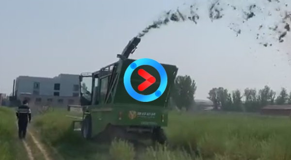 豫舒机械4QZ-2600新款割台完美测试