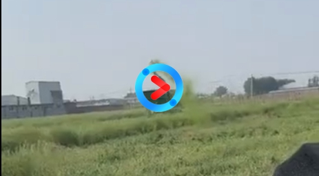 豫舒机械抛送桶效果杠杠滴