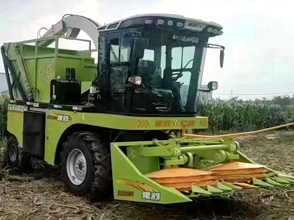 青饲料收获机工作现场
